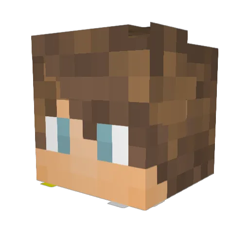 Raidehh Minecraft avatar head, 3D render