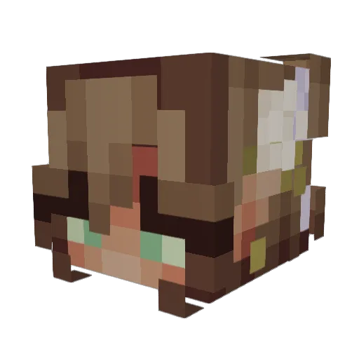 Raiden1299 Minecraft avatar head, 3D render