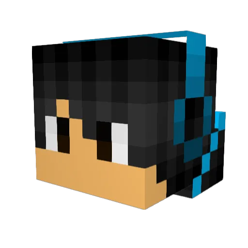 Raiden1996 Minecraft avatar head, 3D render