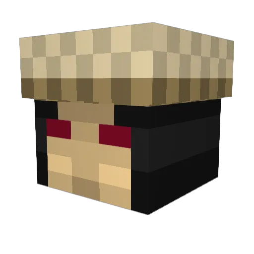 Raiden313 Minecraft avatar head, 3D render