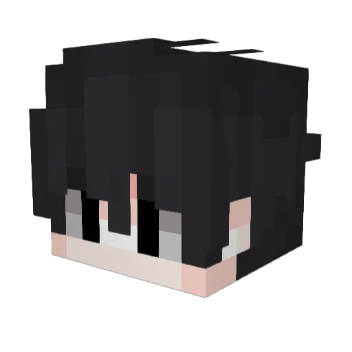 Raiden844 Minecraft avatar head, 3D render