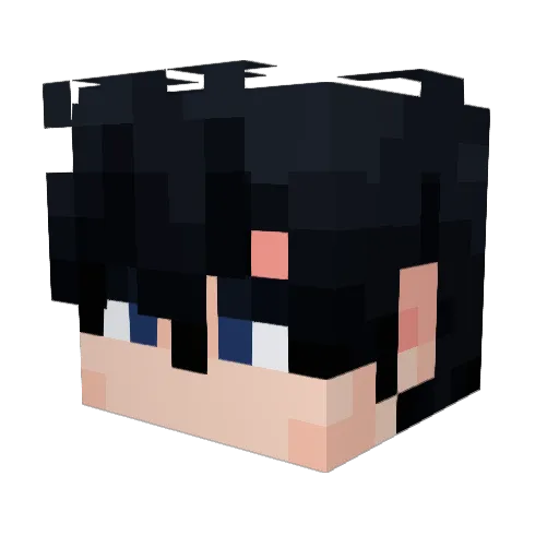 RaidenLeaf Minecraft avatar head, 3D render