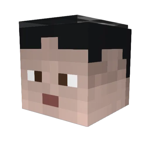 Raider04 Minecraft avatar head, 3D render