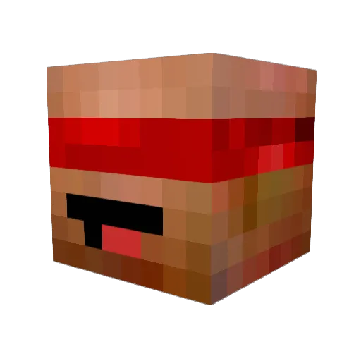 Raider383 Minecraft avatar head, 3D render