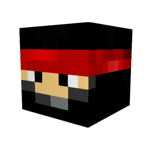 RaiderGuy Minecraft avatar head, 3D render