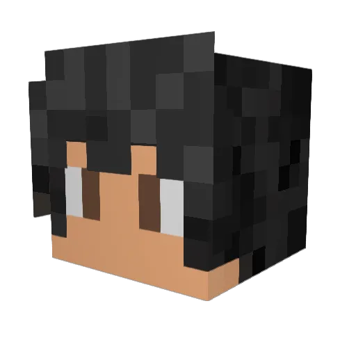 RaiderIsHere Minecraft avatar head, 3D render