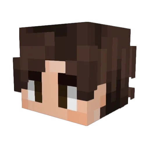 RaiderRed1502 Minecraft avatar head, 3D render