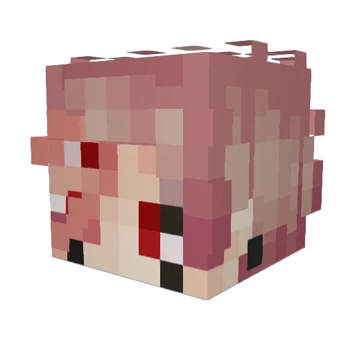 Raiderjsgames Minecraft avatar head, 3D render