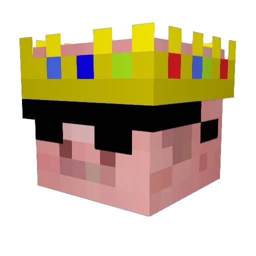 Raidermoin Minecraft avatar head, 3D render