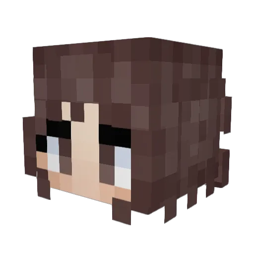 RaidingElPaso Minecraft avatar head, 3D render