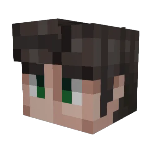 Raidmer Minecraft avatar head, 3D render