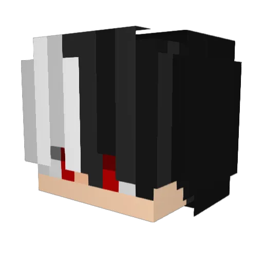 Raidox55 Minecraft avatar head, 3D render