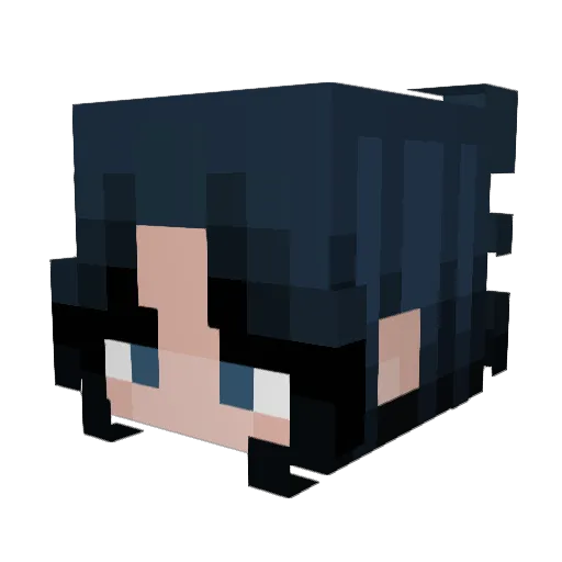 Raidriar_21 Minecraft avatar head, 3D render