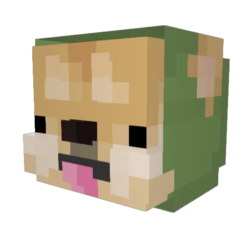 Raidz_For_Days Minecraft avatar head, 3D render