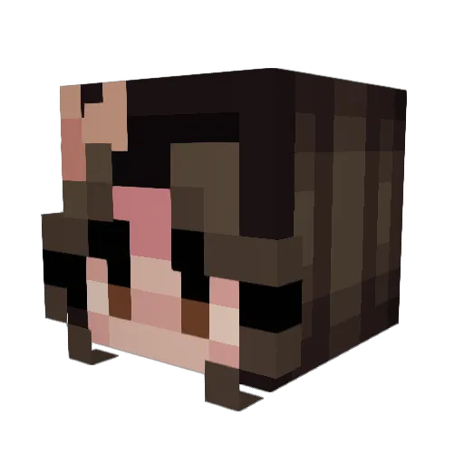 Raigracie Minecraft avatar head, 3D render