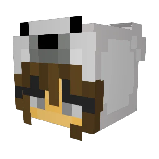 Raiiinnnn Minecraft avatar head, 3D render