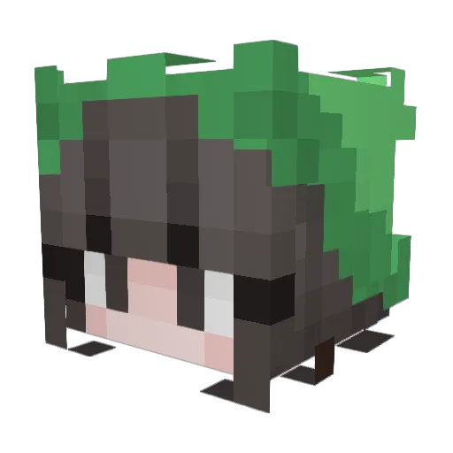 Raiirakku Minecraft avatar head, 3D render