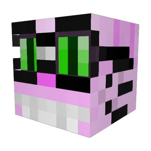 Raijen_ArDesh Minecraft avatar head, 3D render