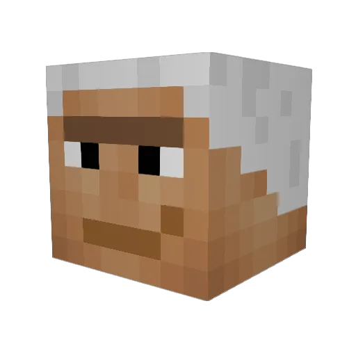 Raik101 Minecraft avatar head, 3D render