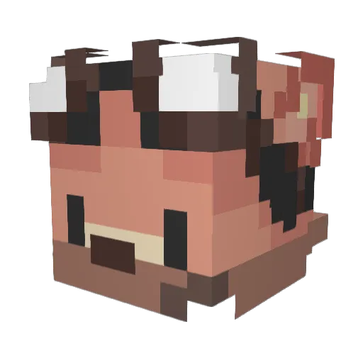 Raikiri__ Minecraft avatar head, 3D render