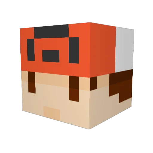 Raikkonen07 Minecraft avatar head, 3D render