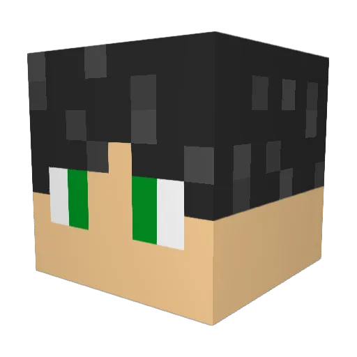 Rail_Bunneh Minecraft avatar head, 3D render