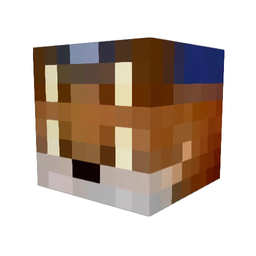 Railfox Minecraft avatar head, 3D render