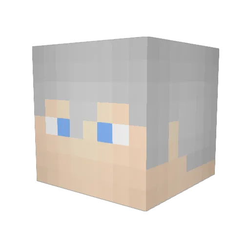 RailgunXKG Minecraft avatar head, 3D render