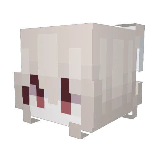 Railgxn Minecraft avatar head, 3D render