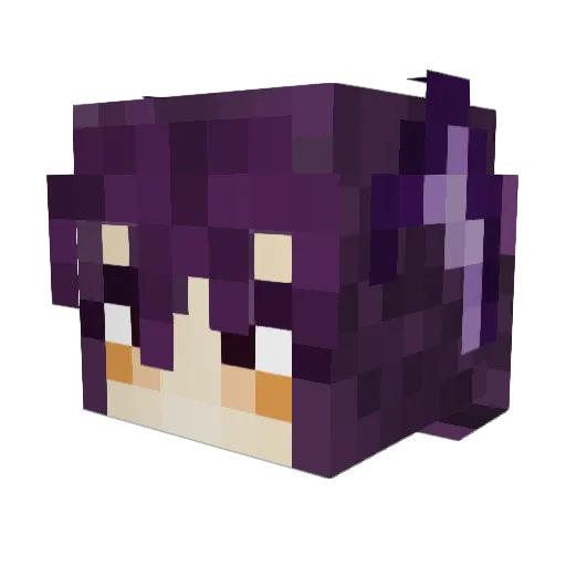 Railloune Minecraft avatar head, 3D render