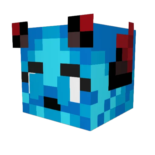 Railsz Minecraft avatar head, 3D render
