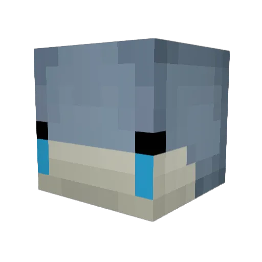 Raimu_MC Minecraft avatar head, 3D render