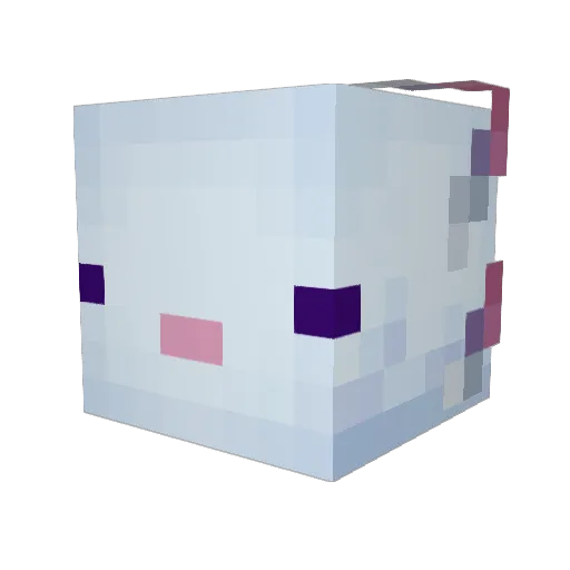 Rain005 Minecraft avatar head, 3D render