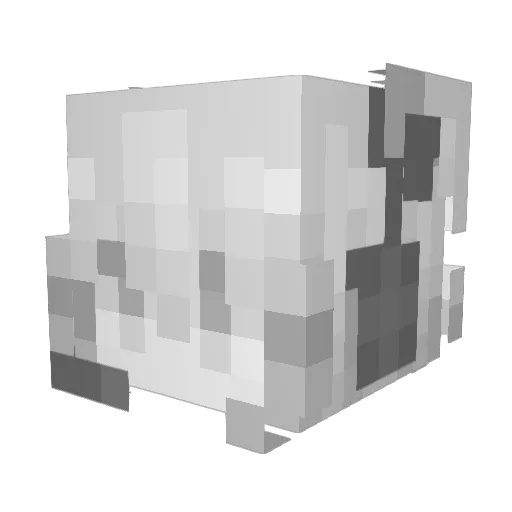 Rain0863 Minecraft avatar head, 3D render