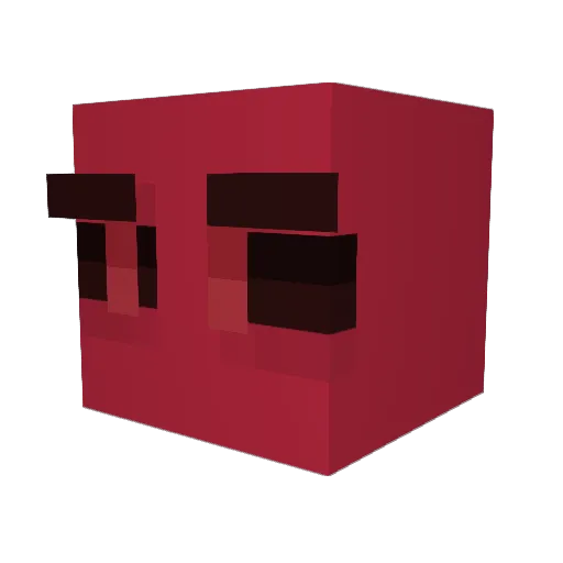 Rain360_ Minecraft avatar head, 3D render