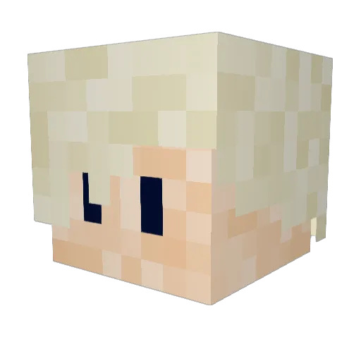 Rain6360 Minecraft avatar head, 3D render