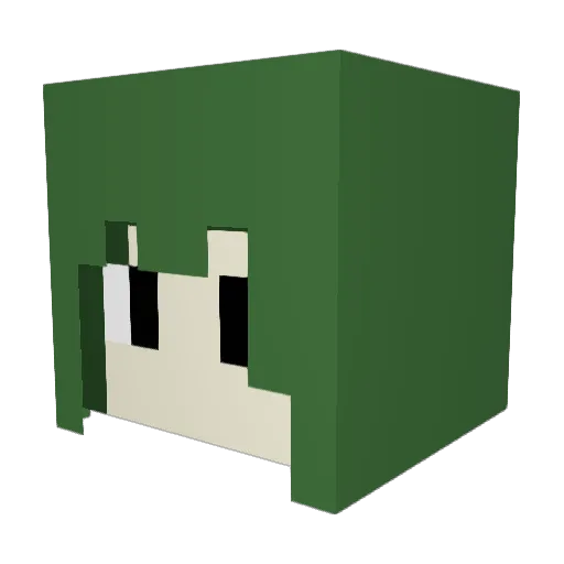 RainAndFog9 Minecraft avatar head, 3D render