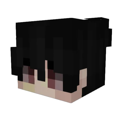 RainBoyAndrew Minecraft avatar head, 3D render