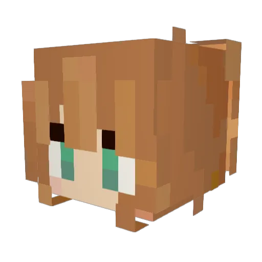 RainBubbleStorm Minecraft avatar head, 3D render