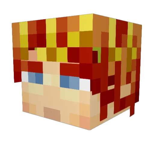 RainCoin Minecraft avatar head, 3D render
