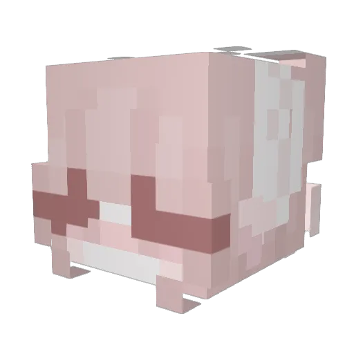 RainF1 Minecraft avatar head, 3D render