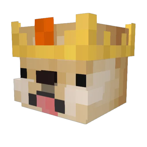 RainGame2 Minecraft avatar head, 3D render