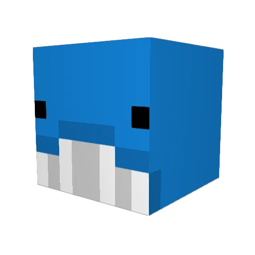 RainGaming11 Minecraft avatar head, 3D render