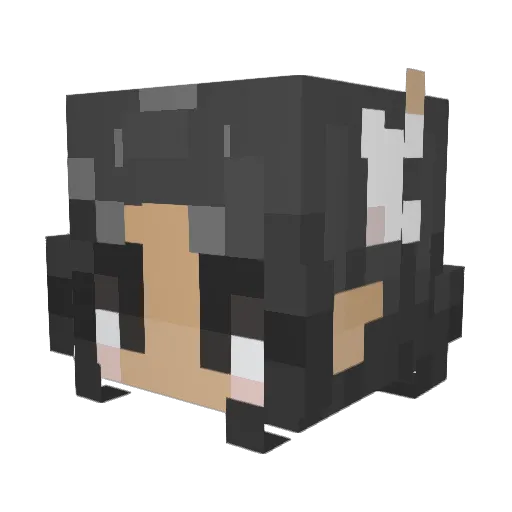 RainInOasch Minecraft avatar head, 3D render