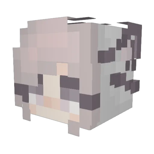 RainOnMe Minecraft avatar head, 3D render