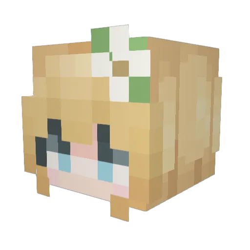 RainOnTrin Minecraft avatar head, 3D render