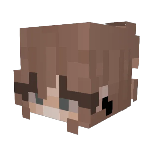 RainPill Minecraft avatar head, 3D render