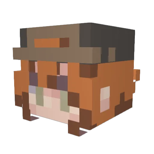 RainRaifu Minecraft avatar head, 3D render