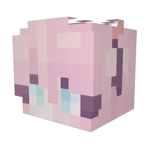 RainShadowYT Minecraft avatar head, 3D render
