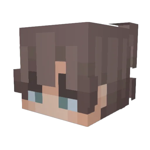 RainShane9311 Minecraft avatar head, 3D render